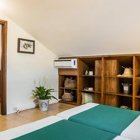 Villa Alekata Village - Panos Muszáta